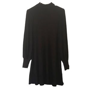 Express Long Sleeve Ribbed Turtleneck Dress